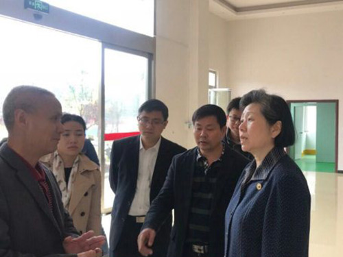 省政協(xié)副主席袁新華一行蒞臨公司考察并指導(dǎo)工作